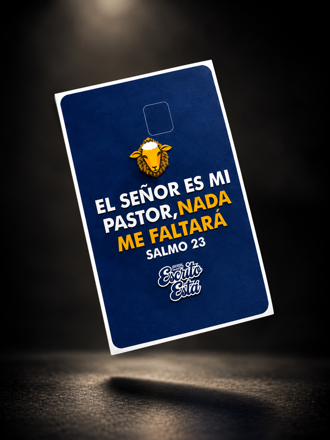 Skin Sticker Salmo 23